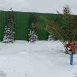 Satılır 11 otaqlı Bağ evi, Novxanı, Abşeron rayonu 29
