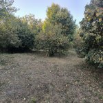 Satılır Torpaq Qəbələ 3