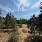Satılır Torpaq, Şüvəlan, Xəzər rayonu 3