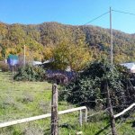 Satılır Torpaq Qəbələ 10