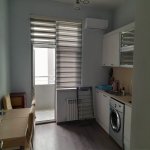 Kirayə (aylıq) 1 otaqlı Yeni Tikili, Həzi Aslanov metrosu, Xətai rayonu 4