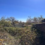 Satılır Torpaq Şamaxı 9