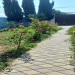Продажа 5 комнат Дача, м. Короглу метро, пос. Савалан, Сабунчу район 9