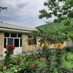 Kirayə (günlük) 4 otaqlı Həyət evi/villa Qax 9