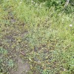 Продажа Участок Гябяля 1