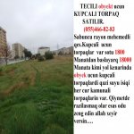 Satılır Torpaq, Məhəmmədli, Abşeron rayonu 2