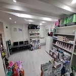 Kirayə (aylıq) 1 otaqlı Ofis, Asan xidmət , Nəsimi rayonu 8