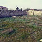 Satılır Torpaq, Buzovna, Xəzər rayonu 6