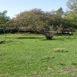 Продажа Участок Гябяля 2