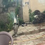 Satılır 6 otaqlı Həyət evi/villa, Buzovna, Xəzər rayonu 30