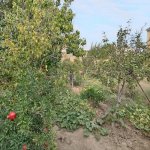 Satılır 3 otaqlı Həyət evi/villa, Dədə Qorqud qəs., Suraxanı rayonu 17