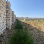 Satılır Torpaq, Nardaran qəs., Sea Breeze, Sabunçu rayonu 2