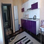 Kirayə (aylıq) 3 otaqlı Yeni Tikili, Nəriman Nərimanov metrosu, Nərimanov rayonu 8