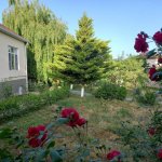 Kirayə (günlük) 4 otaqlı Həyət evi/villa Quba 4