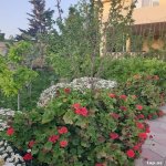 Аренда 8 комнат Дома/Виллы, м. Короглу метро, пос. Билгях, Сабунчу район 3