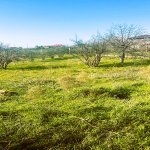 Продажа 4 комнатная Дача, Гурд дэрэси район 1