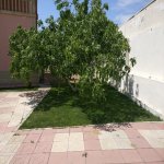 Kirayə (aylıq) 5 otaqlı Bağ evi, Mərdəkan, Xəzər rayonu 19