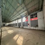 Kirayə (aylıq) Obyekt, Binəqədi qəs., Binəqədi rayonu 28