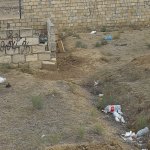 Satılır Torpaq, Saray, Abşeron rayonu 5