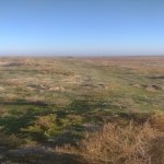 Satılır Torpaq, Zirə, Aviasiya Akademiyası Universiteti, Xəzər rayonu 4