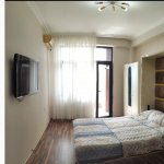 Kirayə (aylıq) 1 otaqlı Yeni Tikili, Nəriman Nərimanov metrosu, Nərimanov rayonu 2