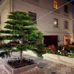 Satılır 6 otaqlı Həyət evi/villa, Novxanı, Abşeron rayonu 11