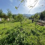 Satılır Torpaq İsmayıllı 31