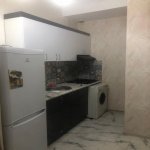 Kirayə (aylıq) 2 otaqlı Yeni Tikili, Neftçilər metrosu, Bakıxanov qəs., Sabunçu rayonu 10