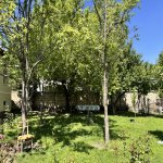 Kirayə (günlük) 3 otaqlı Həyət evi/villa Qəbələ 4