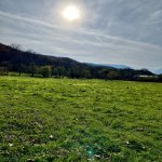 Satılır Torpaq Qusar 11