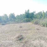 Продажа Участок Губа 7