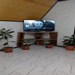 Kirayə (günlük) 3 otaqlı Bağ evi Qusar 4