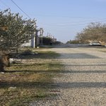 Satılır Torpaq, Masazır, Abşeron rayonu 7