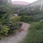 Посуточно 1 комнат Дача, пос. Пиршаги, Сабунчу район 13