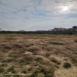 Satılır Torpaq, Buzovna, Xəzər rayonu 2