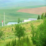 Satılır Obyekt Şamaxı 15