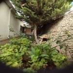 Satılır 3 otaqlı Həyət evi/villa Xırdalan 12