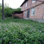 Satılır 4 otaqlı Bağ evi İsmayıllı 2