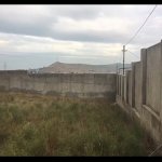 Satılır Torpaq, Novxanı, Abşeron rayonu 5