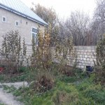 Satılır 4 otaqlı Bağ evi Qəbələ 3