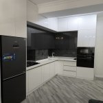Kirayə (aylıq) 2 otaqlı Yeni Tikili, Nəriman Nərimanov metrosu, Heydər Əliyev Mərkəzi, Nərimanov rayonu 6