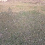 Satılır Torpaq, Novxanı, Abşeron rayonu 5