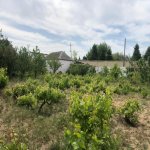 Satılır 3 otaqlı Bağ evi, Novxanı, Abşeron rayonu 13