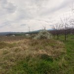 Satılır Torpaq Quba 7