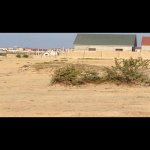 Satılır Torpaq, Pirşağı qəs., Sabunçu rayonu 1