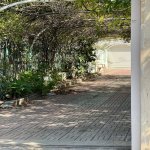 Satılır 5 otaqlı Həyət evi/villa, Badamdar qəs., Səbail rayonu 5