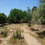 Satılır Torpaq, Goradil, Abşeron rayonu 9