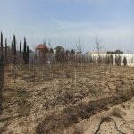 Satılır Torpaq, Xəzər rayonu 3