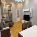 Аренда 14 комнатная Новостройка, Насими район 3