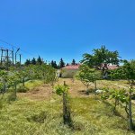 Продажа 6 комнат Дача, Бузовна, Хязяр район 6